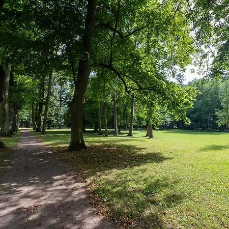 Διαμέρισμα Nadherny Apartman V Centre Kupelov